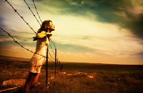 barbed-wire-freedom2